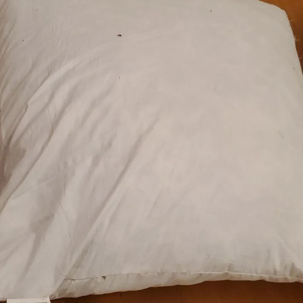 DUCK FEATHER DOWN PILLOW INSERT  22
